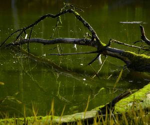 Tu w woj. lubelskim są cudowne źródełka! 