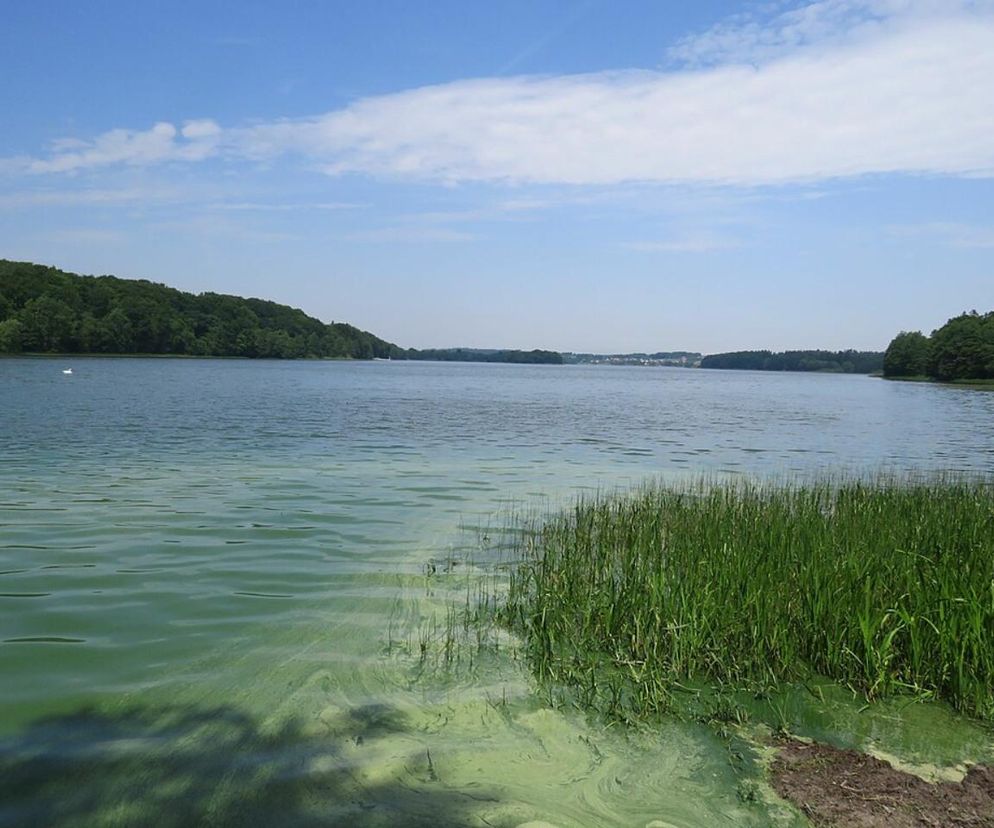 To jezioro na Kaszubach jest wyjątkowe. Warto je zobaczyć, ale trzeba przestrzegać zasad 