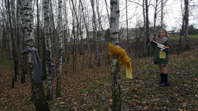 Akcja "Szalik dla drzewa" w Jaworznie
