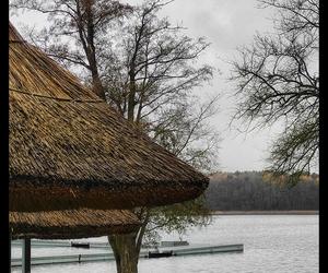 Strzeszynek późną jesienią. Miejsce, które przypomina scenerię z tajemniczej bajki