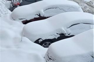 Wrócił koszmar kierowców. Za ten błąd sypią się mandaty. Nawet 3 tys. zł