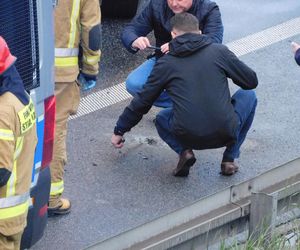 Ostatnie Pokolenie przykleiło się do jezdni na S8. Strażacy musieli skuć asfalt
