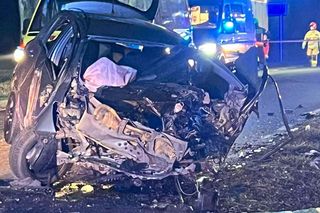 Potrącił kobietę na hulajnodze, a potem uderzył w drzewo