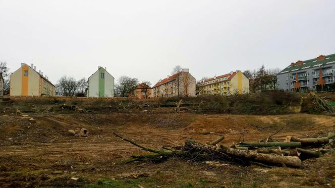 Przy ulicy Janosika wycięto dziesiątki drzew