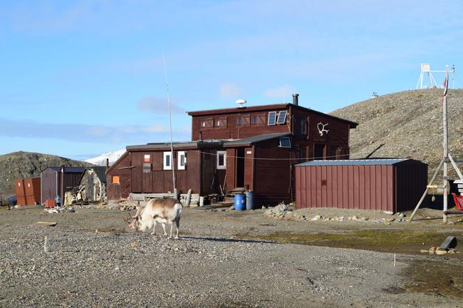 Kierunek - Spitsbergen. To 51, wyprawa naukowców z UMK w Toruniu