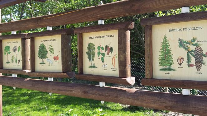 Centrum Edukacji Przyrodniczo-Leśnej w Powsinie