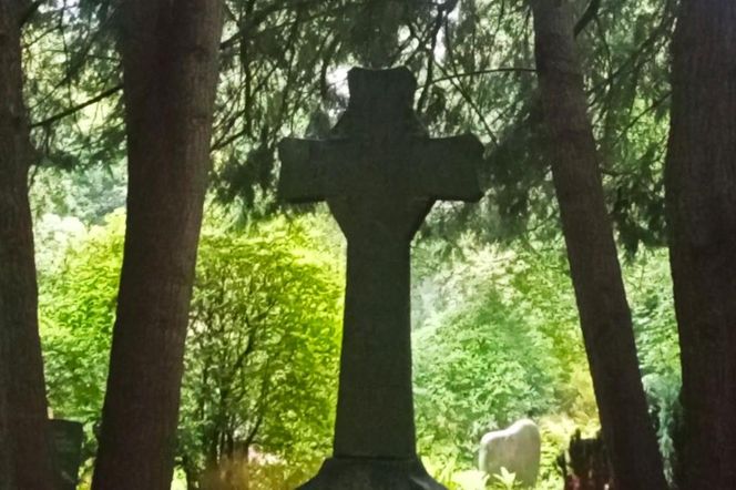 Ohlsdorfer Friedhof w Hamburgu