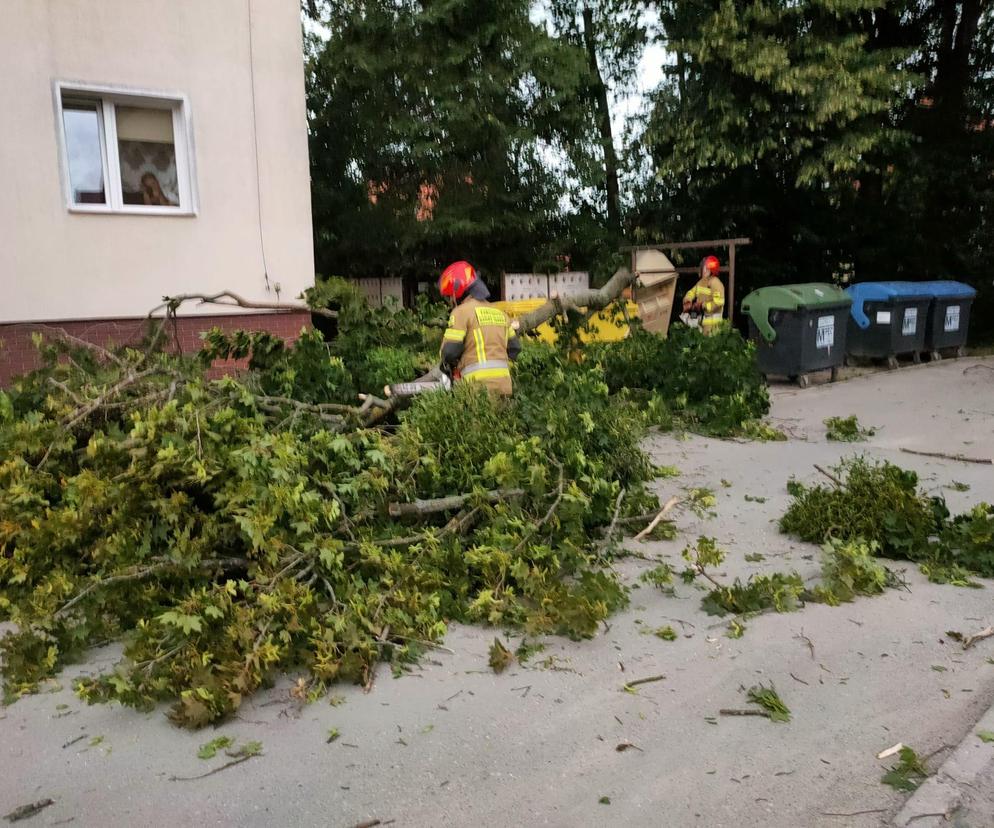 ogoda trochę „namieszała”. Strażacy powiatu braniewskiego znowu w akcji