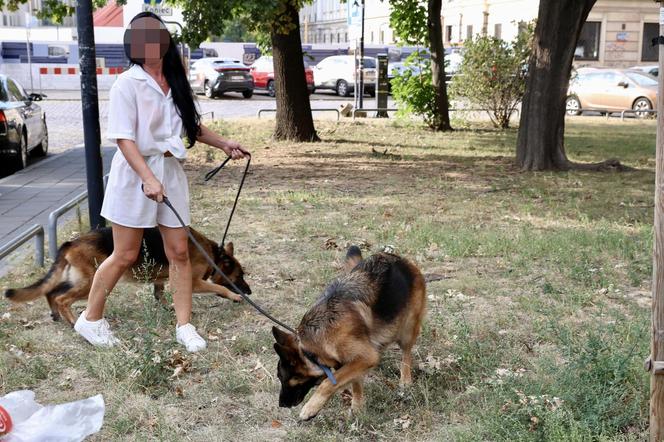 Warszawa. Wilczury dusiły się w aucie! Litwini zamknęli psa w samochodzie i poszli w miasto 