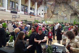 Festiwal Roślin w Nowym Sączu