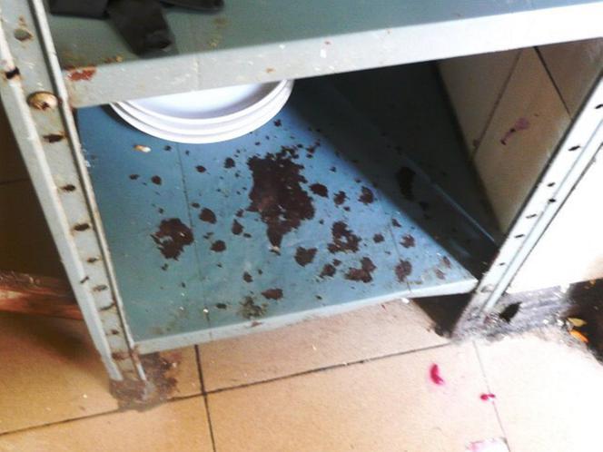 Tak nas kantują nad morzem