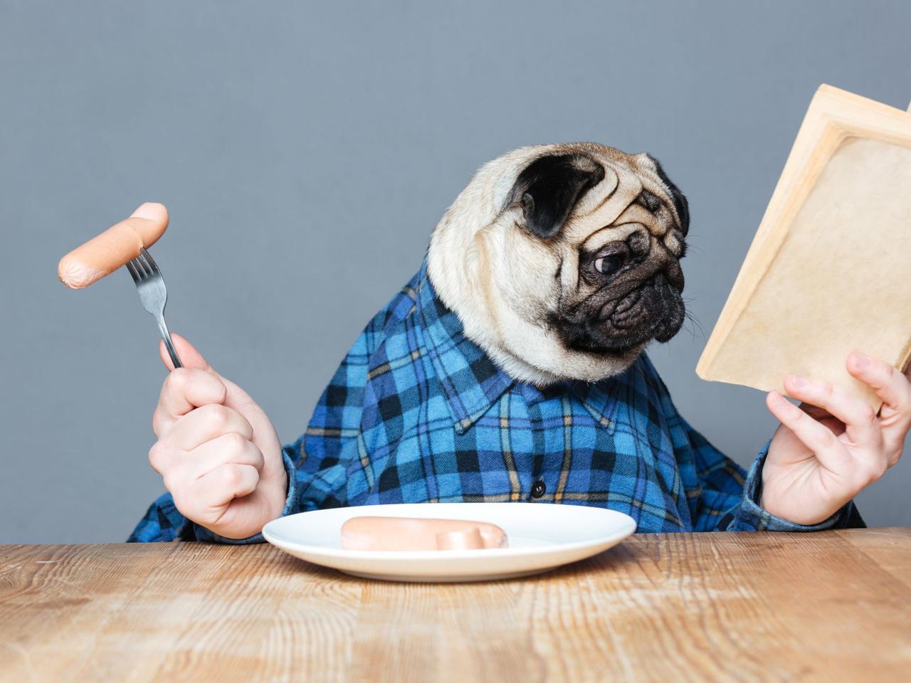 QUIZ. Powiedzenia do zjedzenia Vol.2 - uzupełnij brakujące słowa i zostań ekspertem kulinarnych powiedzonek!