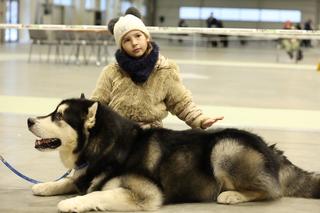 Międzynarodowa Wystawa Psów Rasowych w halach Targów Lublin