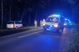 Zderzenie z łosiem w gminie Wojcieszków. Autem jechała kobieta z trójką dzieci!