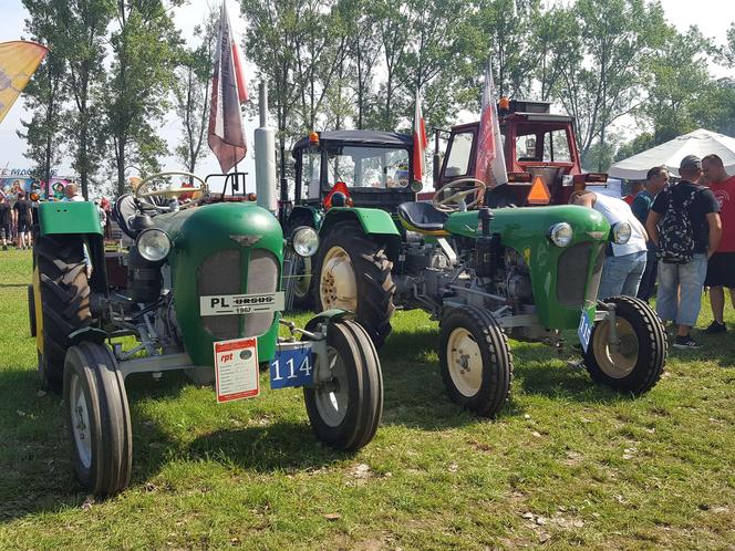 Festiwal starych ciągników w Wilkowicach. Setki maszyn, tysiące widzów i upał