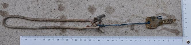 Ubrany szkielet kobiety na kamieniu tuż przy potoku. Natknęła się na niego turystka