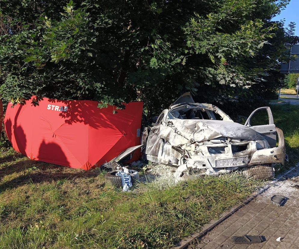 Tragedia pod Gnieznem! BMW wypadło z drogi, nie żyje 22-letni kierowca