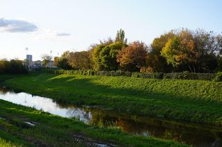 Gdzie na jesienny spacer w Lublinie? Te miejsca poleca AI