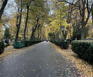 Niewiarygodne, co znalazło się na grobie Mieczysław Fogga. Takie rzeczy przed 1 listopada