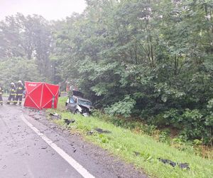 Śmiertelny wypadek na DK 69 pod Kępnem. Nie żyje dwóch kierowców 