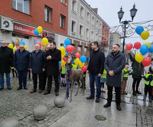 Jelonek stanął przy fontannie na ul. Długiej! Nowa atrakcja turystyczna Łomży poleca się do robienia zdjęć