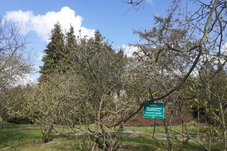 Łódzki Ogród Botaniczny obchodzi 50-lecie. To miejsce rozkwita i czeka na gości