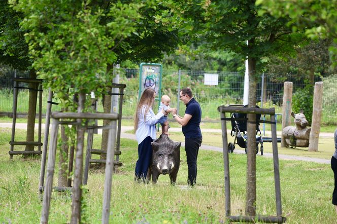 Miłosz Motyka. Energia rozpiera ministra