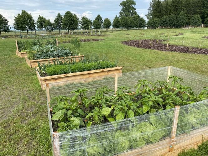 Wyjątkowe miejsce w Wólce Konopnej. Farma toMy dla osób z niepełnosprawnością