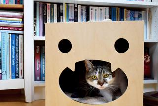 Domek dla kota. Pomysłowe budki i meble dla kotów.