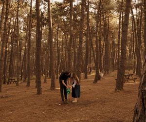 Miłość i nadzieja odc. 281. Kuzey, Sila