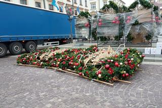 Świąteczna choinka już na rzeszowskim Rynku! Trwa montaż świątecznych ozdób [GALERIA]