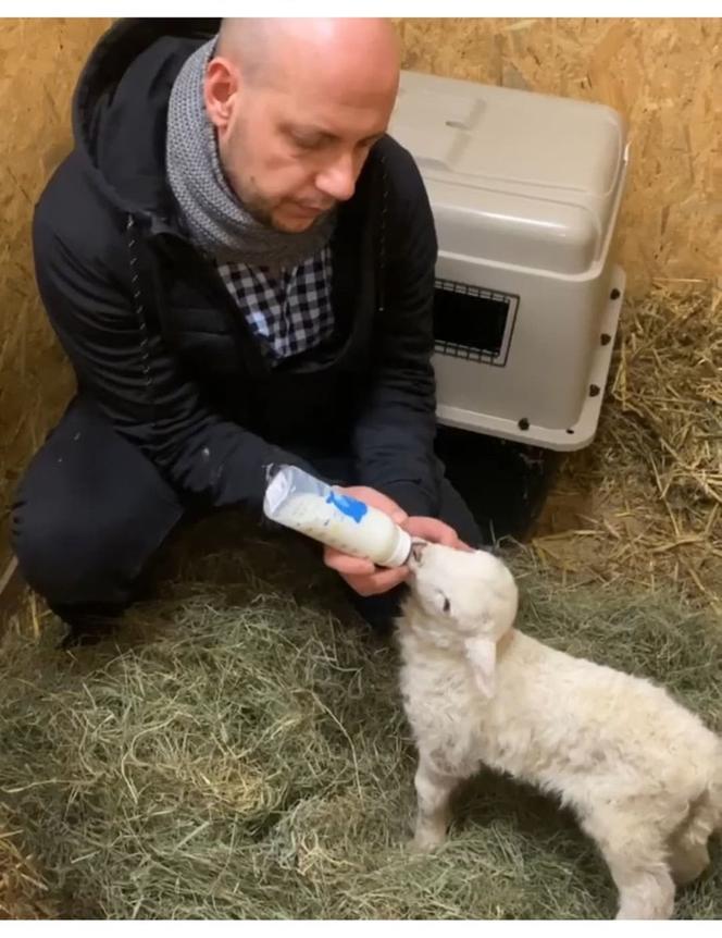 Zostałem mamą Henia