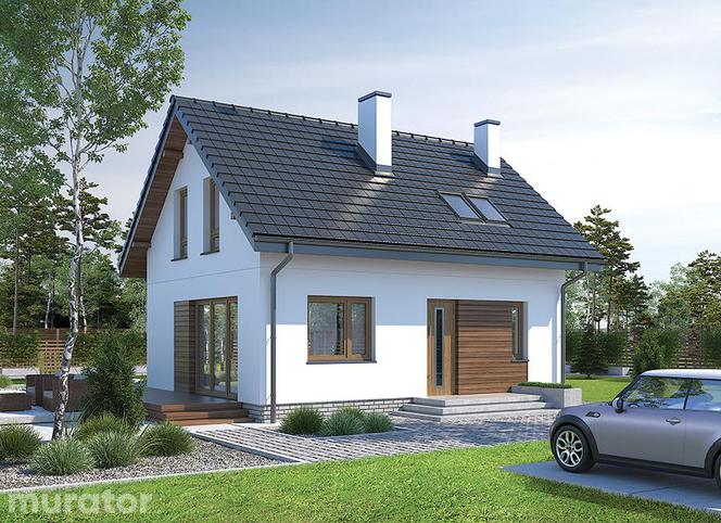 Projekty domów bez garażu