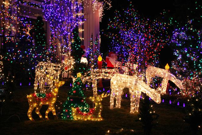 Oświetlenie świąteczne w ogrodzie - renifery