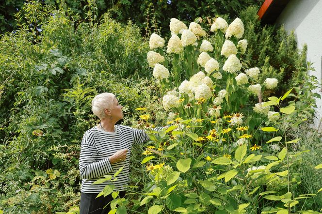 Ewa Telega pokazała ukochane miejsce. Aktorka uwielbia swój ogród