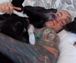 Te psy skradły serca gwiazd! Niektóre wyglądają jak z bajk