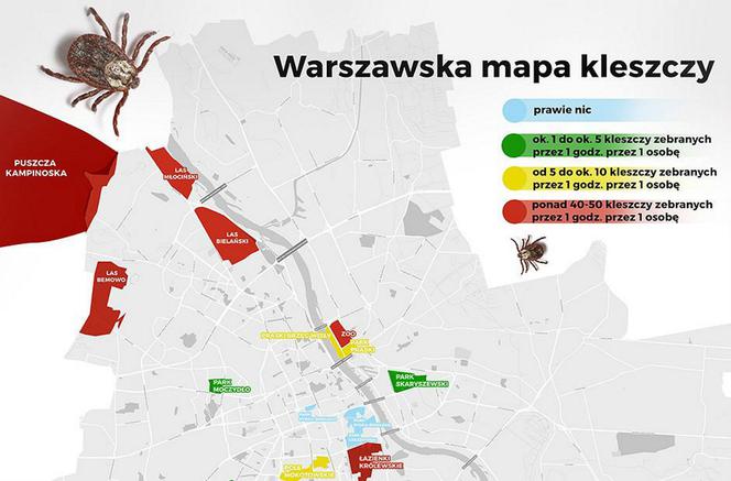 Mapa kleszczy w Warszawie: których miejsc się wystrzegać? Jak się chronić? [INFORMATOR]