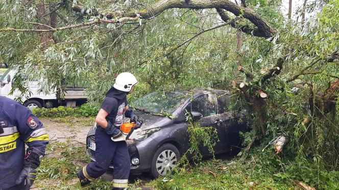 Burze z gradem w Podlaskiem. Powalone drzewo przygniotło samochód [ZDJĘCIA]