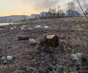 Wycinka drzew pod kolejne bloki. Mieszkańcy pozostaną bez miejsca do wypoczynku?