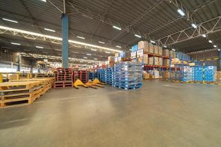 Nie potrzebują matury i studiów. Pracodawcy zatrudniają ich z miejsca