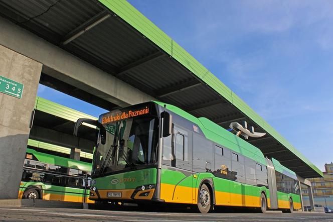 Autobusy elektryczne wyjechały na ulice Poznania