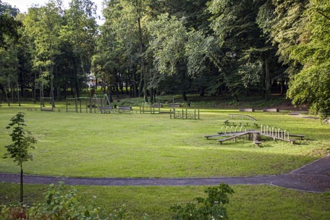 Rewitalizacja parku w Tworkowie Najlepszą Przestrzenią Publiczną Województwa Śląskiego 2024