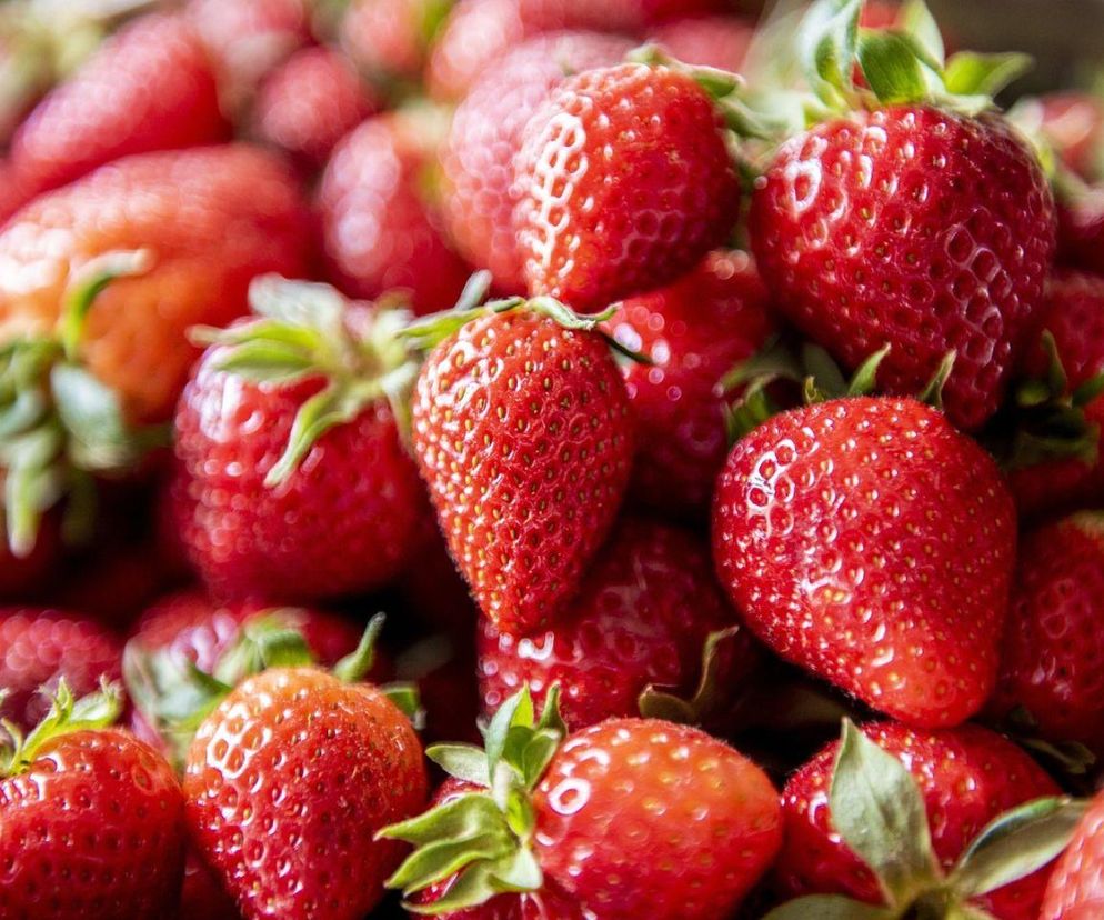 Na tym festiwalu wybiorą królową truskawek. Niezwykłe wydarzenie na Pomorzu