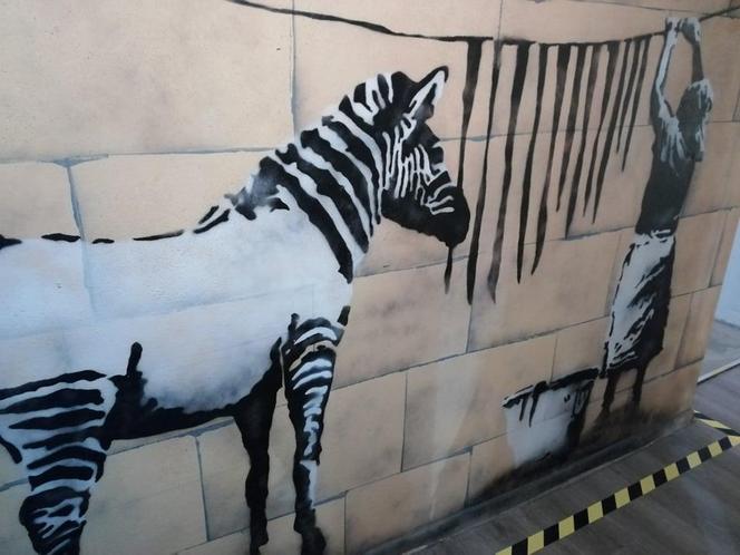 Ferie w Krakowie? Wystawę Banksy'ego, najbardziej tajemniczego artysty na świecie, koniecznie trzeba zobaczyć