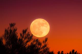 Pełnia Księżyca w marcu 2022. Kiedy i o której jest Pełnia Robaczego Księżyca?