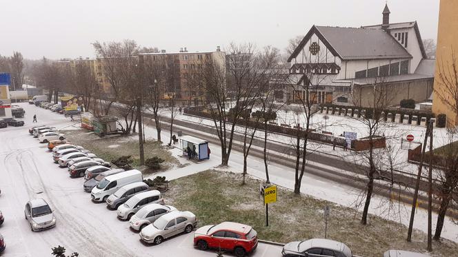 Za oknami w Starachowicach i na północy regionu biało. Czy zima rozgości się na dobre?