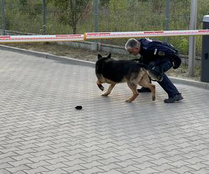 16-latek pchnięty nożem. Bijatyka zakończyłą się fatalnie. Policja szuka sprawcy