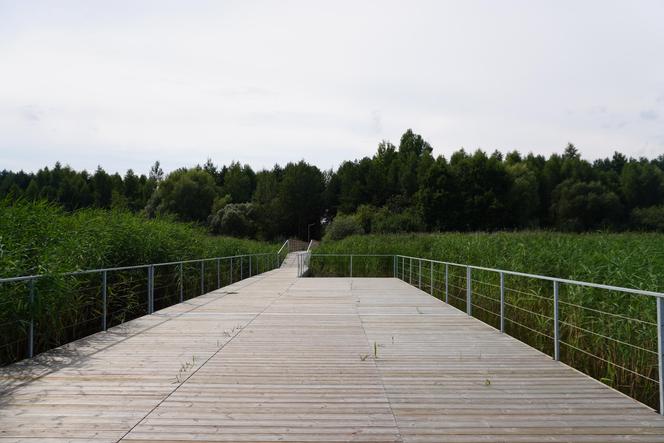 Podlaska Atlantyda, czyli Zalew Siemianówka i okolice