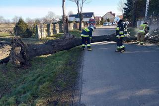 Wichury do 110 km/h atakują! Ponure oblicze jesieni dotrze też do Polski