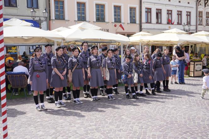 Obchody Święta Narodowego Trzeciego Maja w Rzeszowie